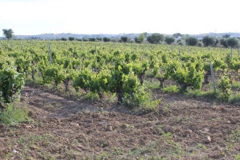 Farm hus i Redondo, Evora, Redondo - € 650.000 | Ref: JG170 - foto 2