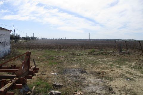 Farm hus i Redondo, Evora, Redondo - € 650.000 | Ref: JG170 - foto 4