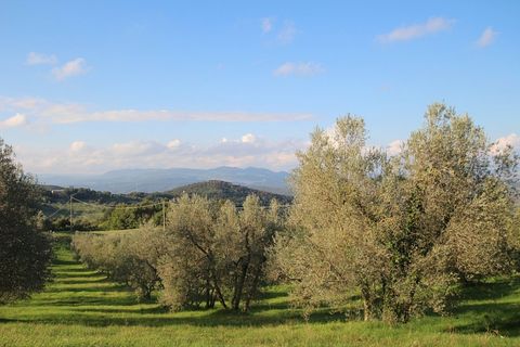 Villa i Pomarance, Pisa, Pomarance - € 500.000 | Ref: c-99 - foto 7