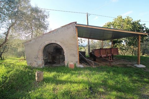 Villa i Pomarance, Pisa, Pomarance - € 500.000 | Ref: c-99 - foto 12