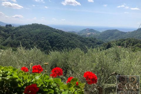 Villa a Montecatini Terme, Pistoia, Montecatini Terme - € 346.000 | Ref: v598910-x - foto 8