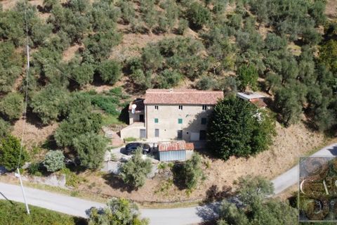 Villa a Montecatini Terme, Pistoia, Montecatini Terme - € 346.000 | Ref: v598910-x - foto 6