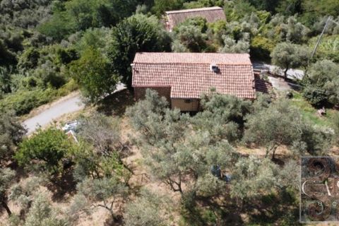 Villa a Montecatini Terme, Pistoia, Montecatini Terme - € 346.000 | Ref: v598910-x - foto 2