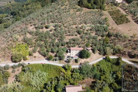 Villa a Montecatini Terme, Pistoia, Montecatini Terme - € 346.000 | Ref: v598910-x - foto 3
