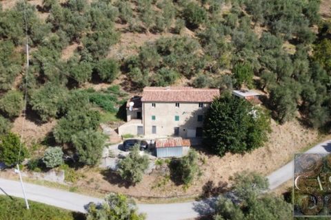 Villa a Montecatini Terme, Pistoia, Montecatini Terme - € 346.000 | Ref: v598910-x - foto 5