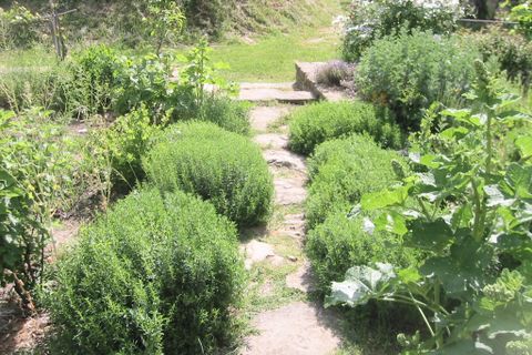 Villa i Pescia, Pistoia, Pescia - € 1.500.000 | Ref: imm pregio-51 - foto 6