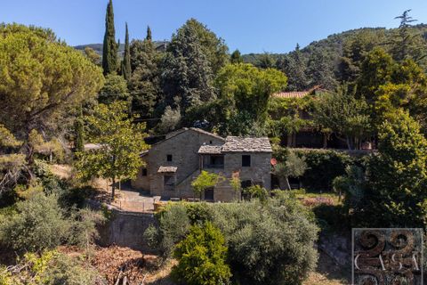 Villa i Cortona, Arezzo, Cortona - € 530.000 | Ref: v60092-x - foto 4