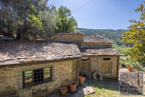 Villa i Cortona, Arezzo, Cortona - € 530.000 | Ref: v60092-x - foto 6
