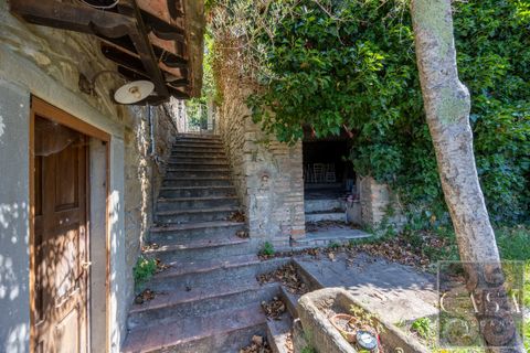 Villa i Cortona, Arezzo, Cortona - € 530.000 | Ref: v60092-x - foto 8