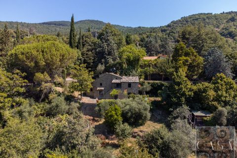 Villa i Cortona, Arezzo, Cortona - € 530.000 | Ref: v60092-x - foto 28