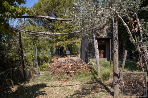 Villa i Cortona, Arezzo, Cortona - € 530.000 | Ref: v60092-x - foto 30