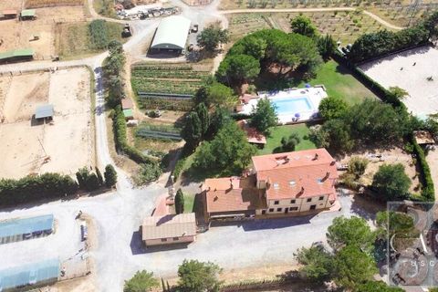 Farm i Rosignano Marittimo, Livorno, Rosignano Marittimo - € 2.800.000 | Ref: v598212-x - foto 3