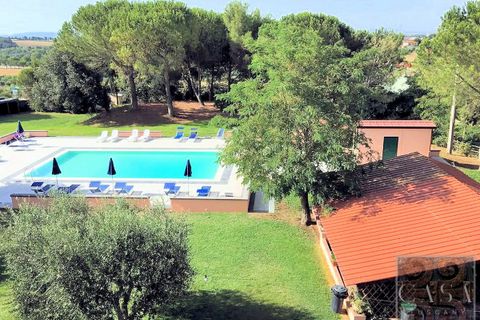 Farm i Rosignano Marittimo, Livorno, Rosignano Marittimo - € 2.800.000 | Ref: v598212-x - foto 8
