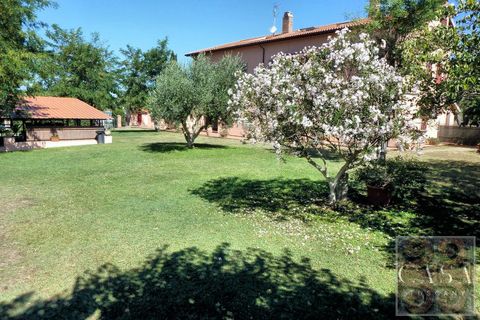 Farm i Rosignano Marittimo, Livorno, Rosignano Marittimo - € 2.800.000 | Ref: v598212-x - foto 20