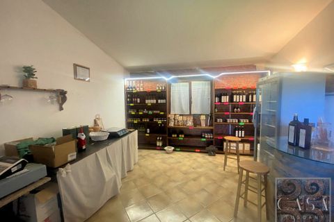 Farm i Rosignano Marittimo, Livorno, Rosignano Marittimo - € 2.800.000 | Ref: v598212-x - foto 37