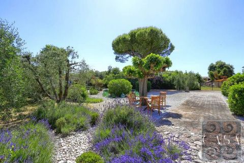 Villa i Suvereto, Livorno, Suvereto - € 595.000 | Ref: v594713-x - foto 6