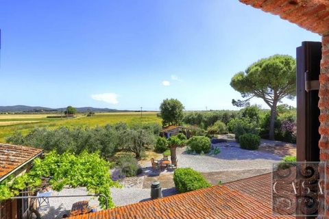 Villa i Suvereto, Livorno, Suvereto - € 595.000 | Ref: v594713-x - foto 8