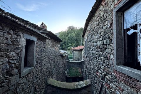 Landejendom i Cortona, Arezzo, Cortona - € 1.000.000 | Ref: v60232-x - foto 21