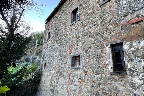 Landejendom i Cortona, Arezzo, Cortona - € 1.000.000 | Ref: v60232-x - foto 22