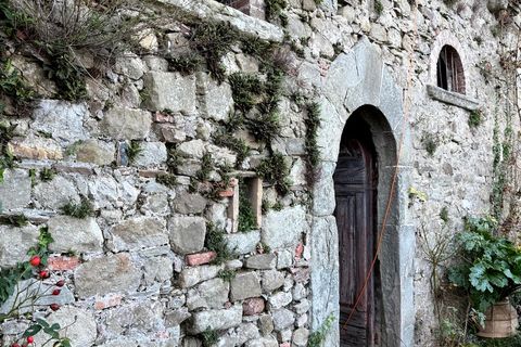 Landejendom i Cortona, Arezzo, Cortona - € 1.000.000 | Ref: v60232-x - foto 25