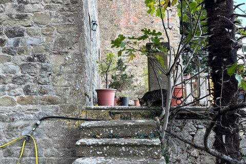 Landejendom i Cortona, Arezzo, Cortona - € 1.000.000 | Ref: v60232-x - foto 27