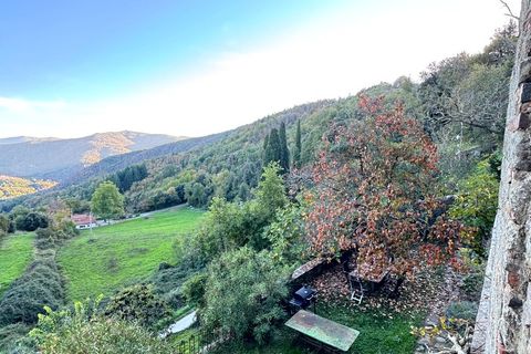 Landejendom i Cortona, Arezzo, Cortona - € 1.000.000 | Ref: v60232-x - foto 30