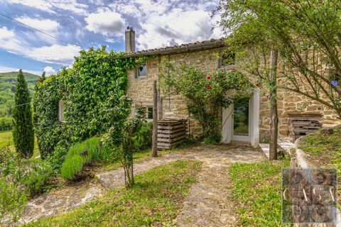 Landejendom i Poppi, Arezzo, Poppi - € 1.380.000 | Ref: v597120-x - foto 1