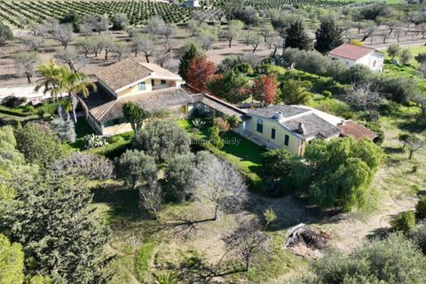 Villa a Ispica, Ragusa, Ispica - € 460.000 | Ref: AS 17 - foto 33