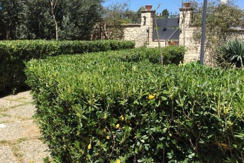 Villa a Ispica, Ragusa, Ispica - € 460.000 | Ref: AS 17 - foto 29