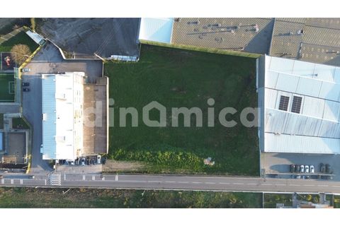 Terra a Oliveira, Braga, Oliveira - € 550.000 | Ref: 2006 - foto 2