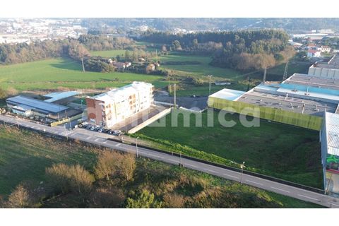 Terra a Oliveira, Braga, Oliveira - € 550.000 | Ref: 2006 - foto 3