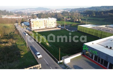 Terra a Oliveira, Braga, Oliveira - € 550.000 | Ref: 2006 - foto 4