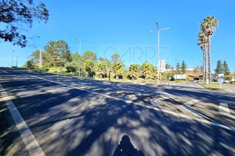 Helårsgrund i Belas, Lisbon, Belas - € 1.550.000 | Ref: 108209 - foto 3