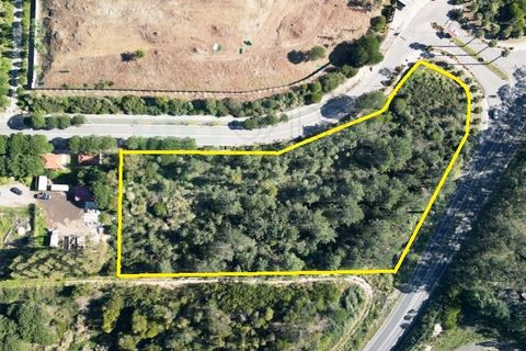 Helårsgrund i Belas, Lisbon, Belas - € 1.550.000 | Ref: 108209 - foto 2