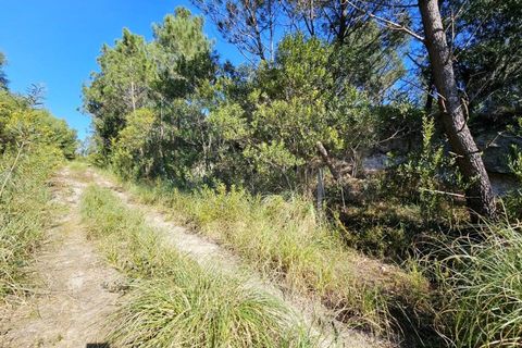 Helårsgrund i Belas, Lisbon, Belas - € 1.550.000 | Ref: 108209 - foto 9