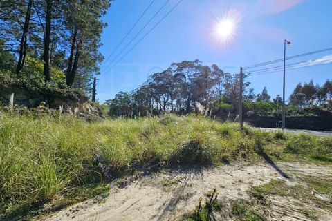 Helårsgrund i Belas, Lisbon, Belas - € 1.550.000 | Ref: 108209 - foto 12