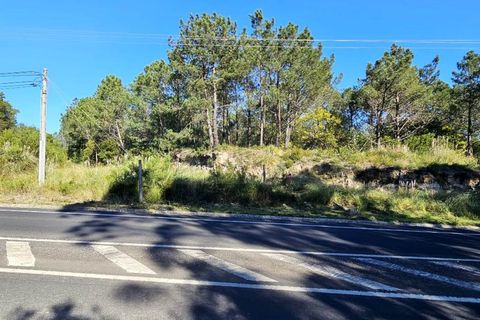 Helårsgrund i Belas, Lisbon, Belas - € 1.550.000 | Ref: 108209 - foto 13