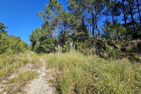 Helårsgrund i Belas, Lisbon, Belas - € 1.550.000 | Ref: 108209 - foto 14