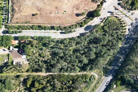 Helårsgrund i Belas, Lisbon, Belas - € 1.550.000 | Ref: 108209 - foto 25