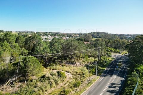 Helårsgrund i Belas, Lisbon, Belas - € 1.550.000 | Ref: 108209 - foto 32