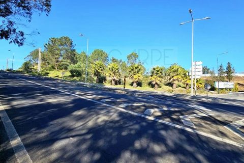 Helårsgrund i Belas, Lisbon, Belas - € 1.550.000 | Ref: 108209 - foto 33