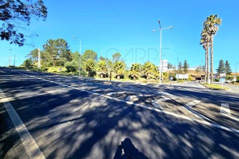Helårsgrund i Belas, Lisbon, Belas - € 1.550.000 | Ref: 108209 - foto 34