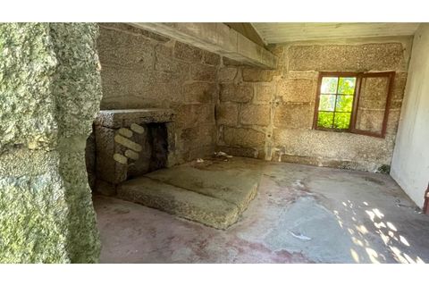 Erhvervsejendom i Amarante, Porto, Amarante - € 305.000 | Ref: FIN_97 - foto 7
