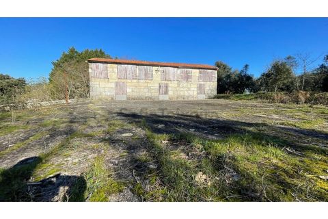 Erhvervsejendom i Amarante, Porto, Amarante - € 305.000 | Ref: FIN_97 - foto 12