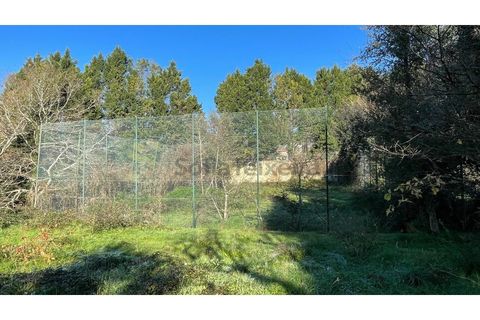 Erhvervsejendom i Amarante, Porto, Amarante - € 305.000 | Ref: FIN_97 - foto 13