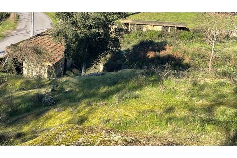 Erhvervsejendom i Amarante, Porto, Amarante - € 305.000 | Ref: FIN_97 - foto 14