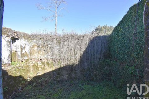 Rækkehus i Penela, Coimbra, Penela - € 30.000 | Ref: 135733 - foto 8