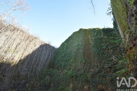 Rækkehus i Penela, Coimbra, Penela - € 30.000 | Ref: 135733 - foto 18