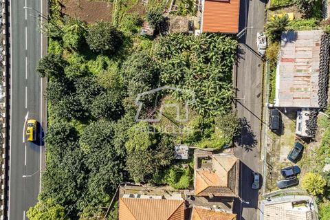 Helårsgrund i Ribeira Brava, Madeira, Ribeira Brava - € 80.000 | Ref: 11347-VG - foto 2