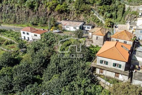 Helårsgrund i Ribeira Brava, Madeira, Ribeira Brava - € 80.000 | Ref: 11347-VG - foto 6